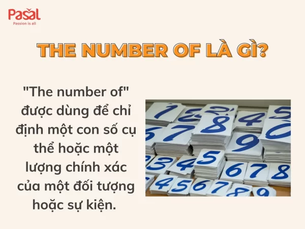 The number of số ít hay nhiều? Cách dùng và bài tập thực hành