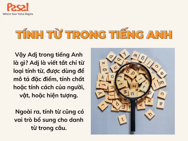 Adj trong tiếng anh là gì? Cách sử dụng tính từ đúng cách trong tiếng Anh