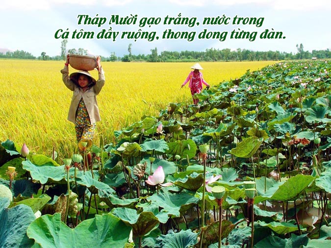 360 câu ca dao dân ca Việt Nam hay nhất từ 3 miền đất nước