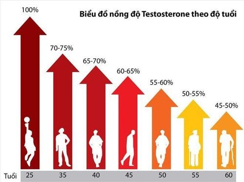 Testosterone là gì? Ảnh hưởng của Testosterone tới sức khỏe nam giới