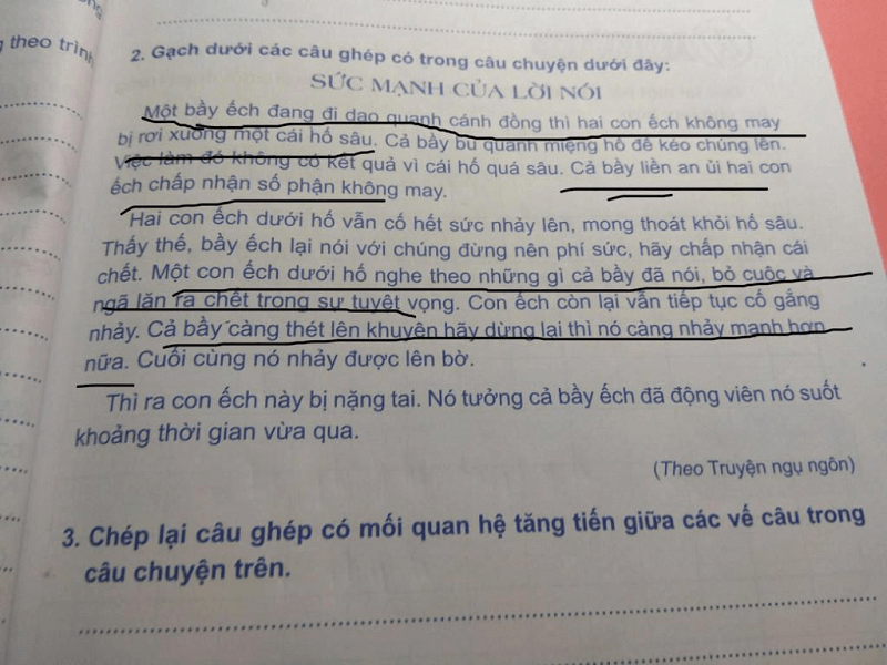 Tiếng việt lớp 5 câu ghép: Khái niệm, phân loại, cách đặt câu & bí quyết học hay