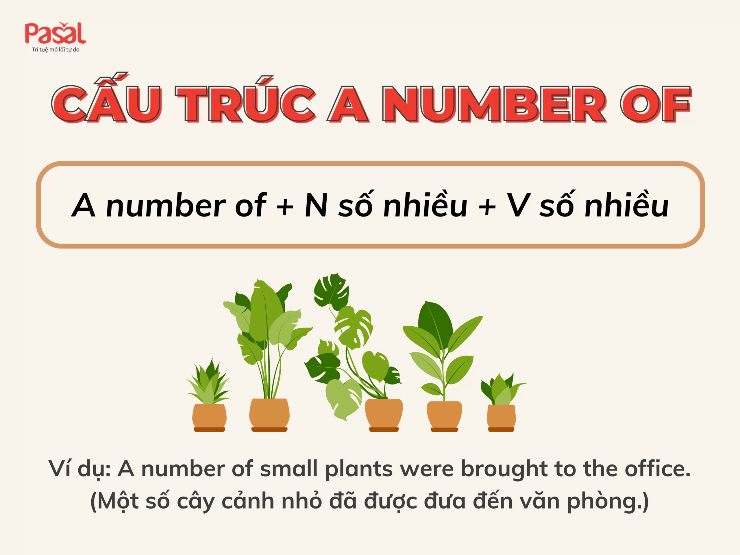 Phân biệt A number of và The number of chỉ với 10 phút