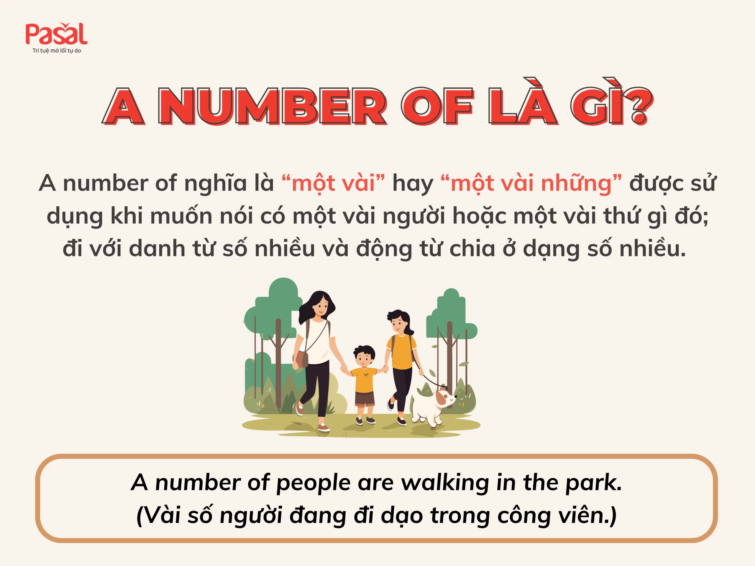 Phân biệt A number of và The number of chỉ với 10 phút